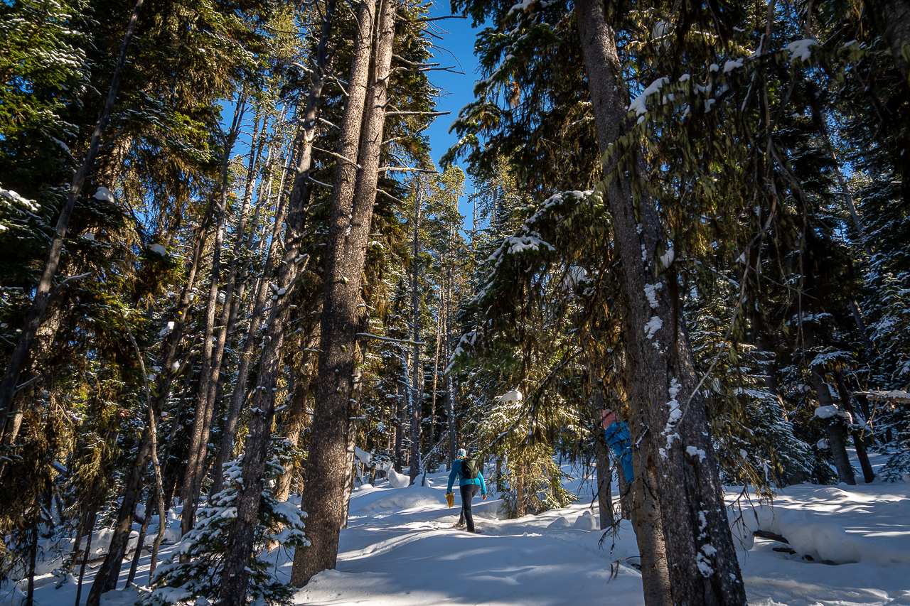 Snowshoeing in Cooke City, Montana