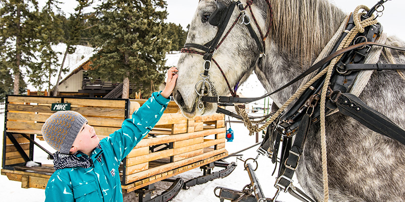 Young girl with horse drawn sleigh