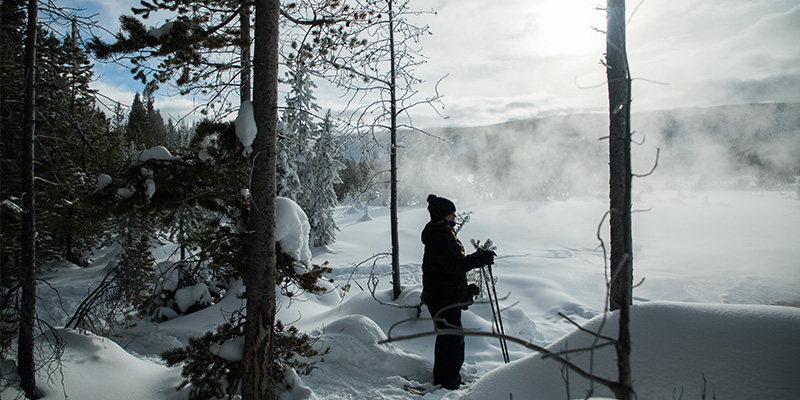 Snowshoeing in Yellowstone National Park