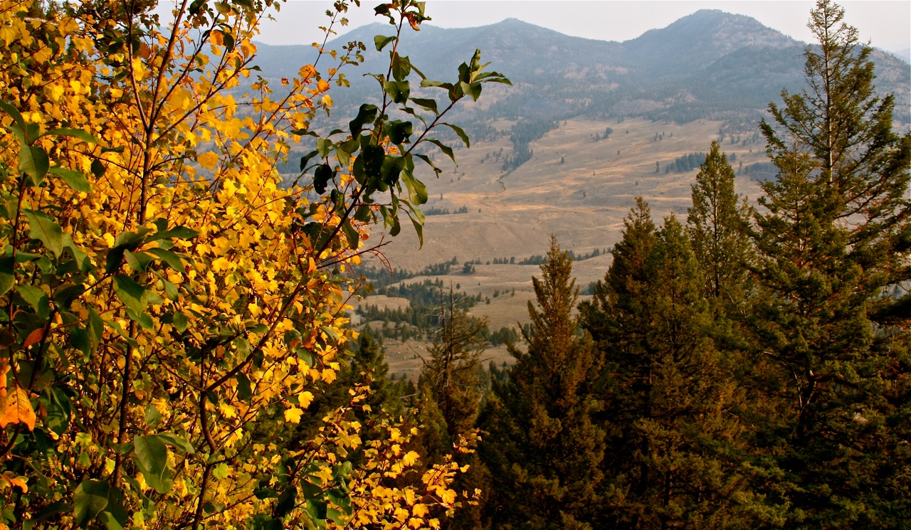 yellowstone-national-park_jean-modesette